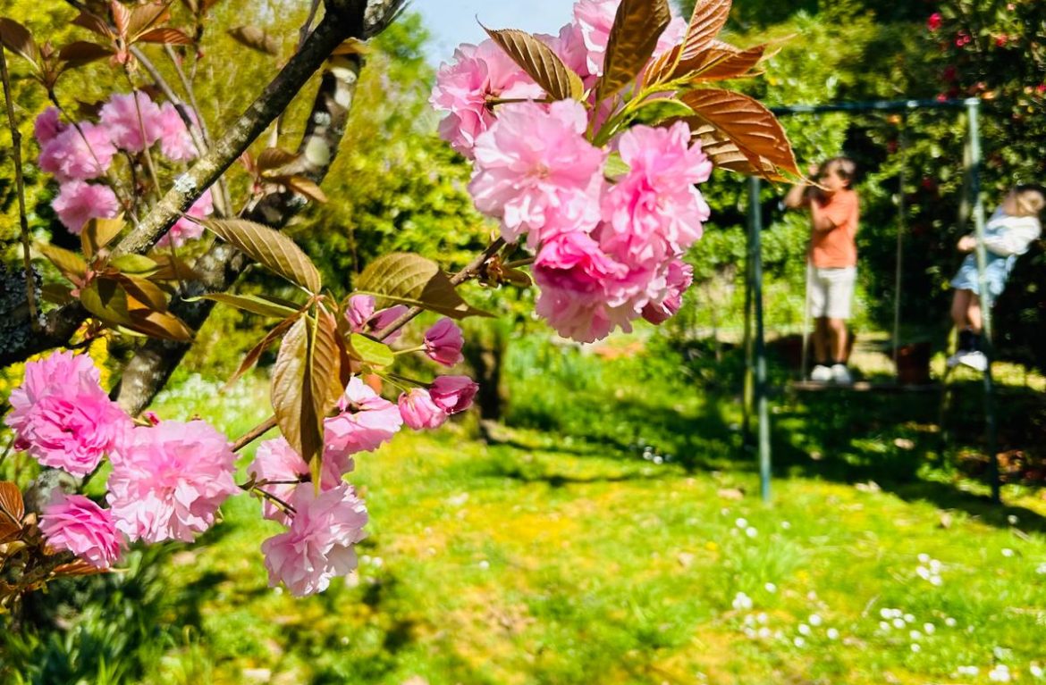 Baloiço 5 - Beatriz Meireles